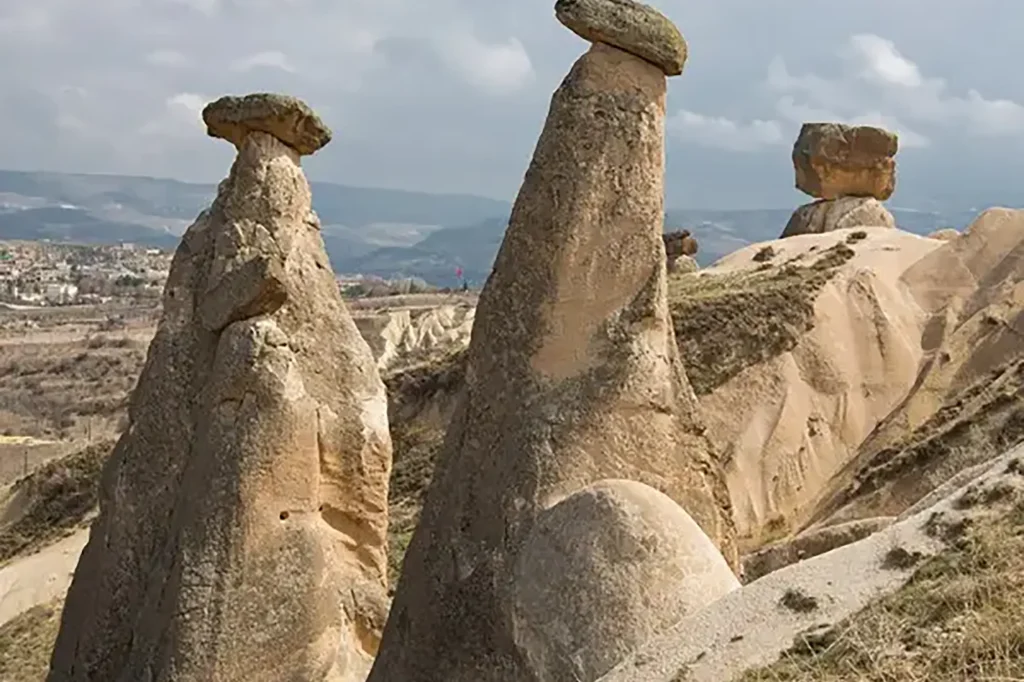 three beauties-600x600